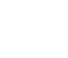 TE logo